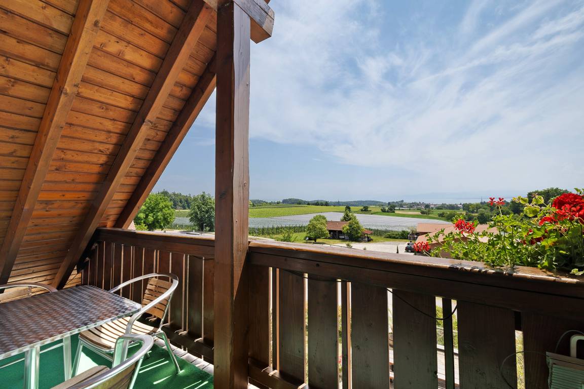 50 M² Appartement ∙ 1 Chambre ∙ 2 Personnes - Meersburg