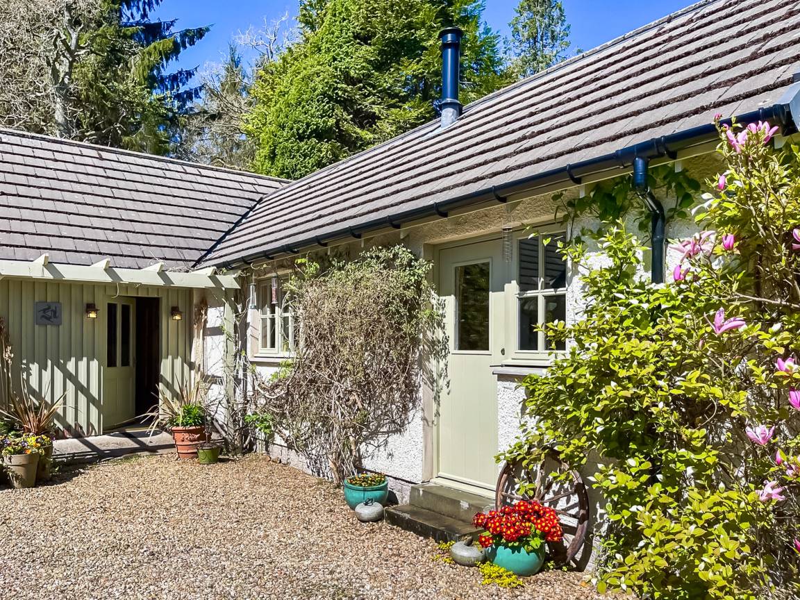 Cottage ∙ 1 Bedroom ∙ 2 Guests -