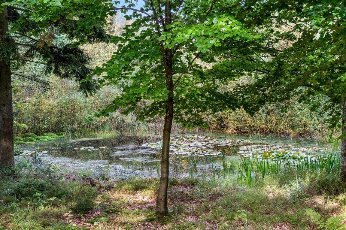 foto24