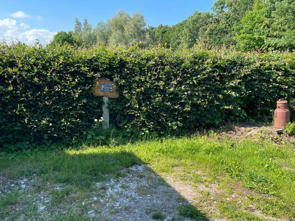 foto15