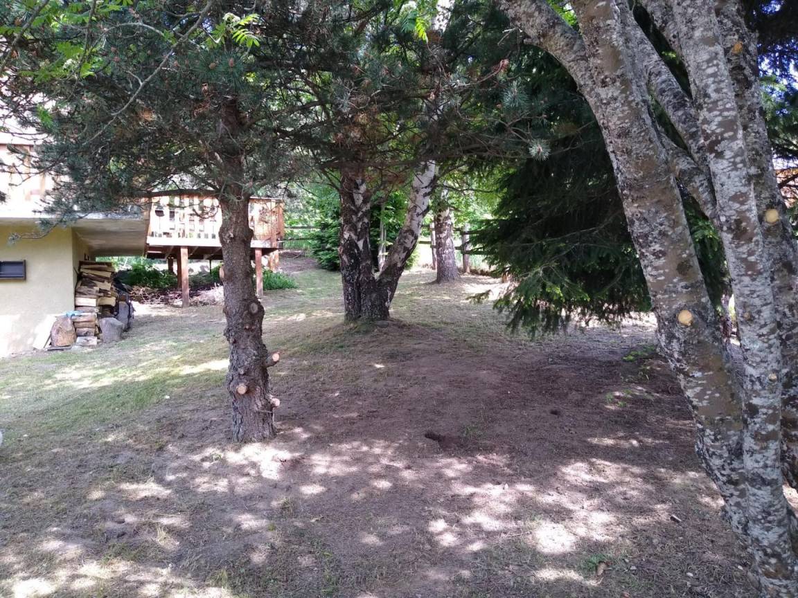 foto43