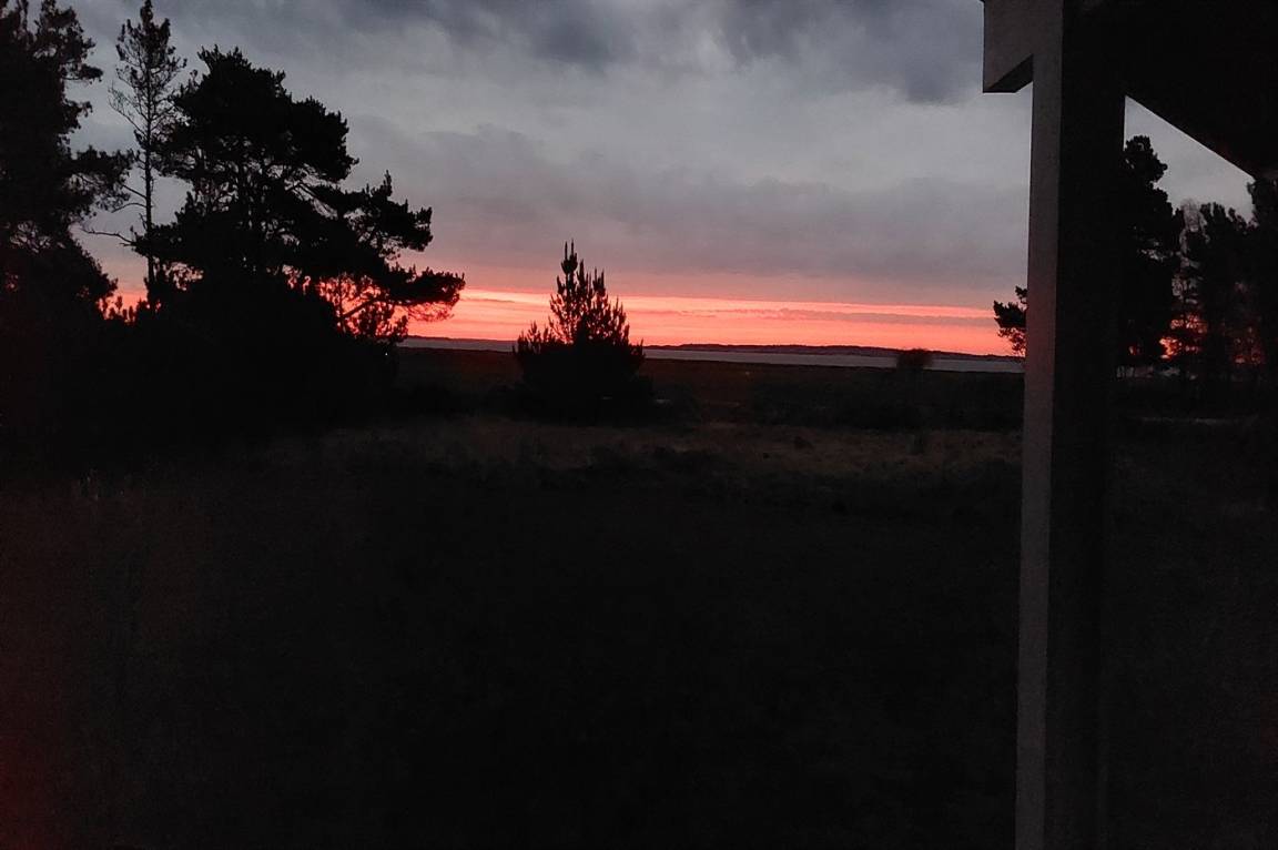 foto31