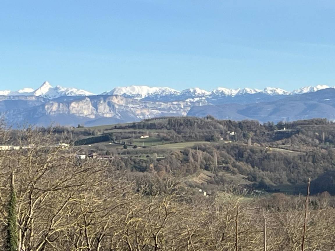 foto31