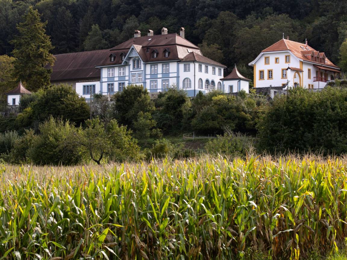 50 M² Apartment ∙ 1 Bedroom ∙ 1 Guest - Canton of Vaud
