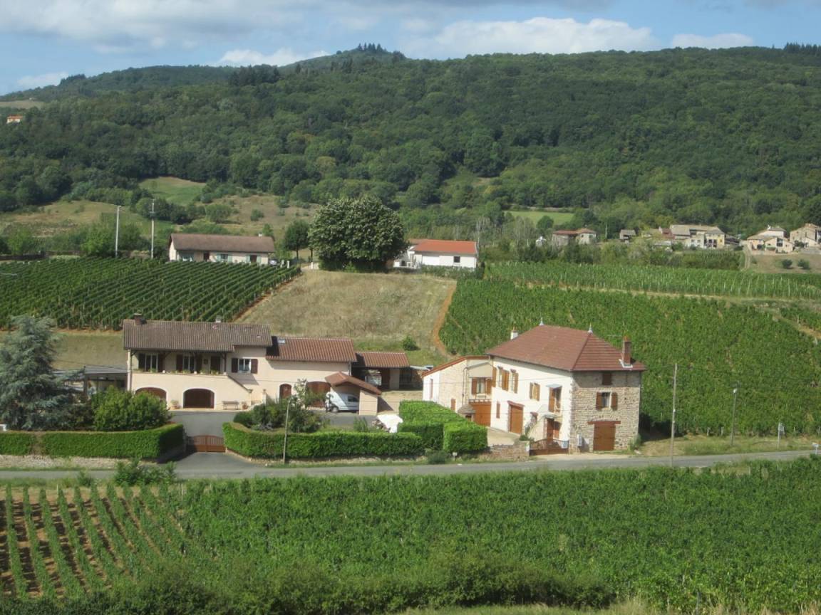 foto4