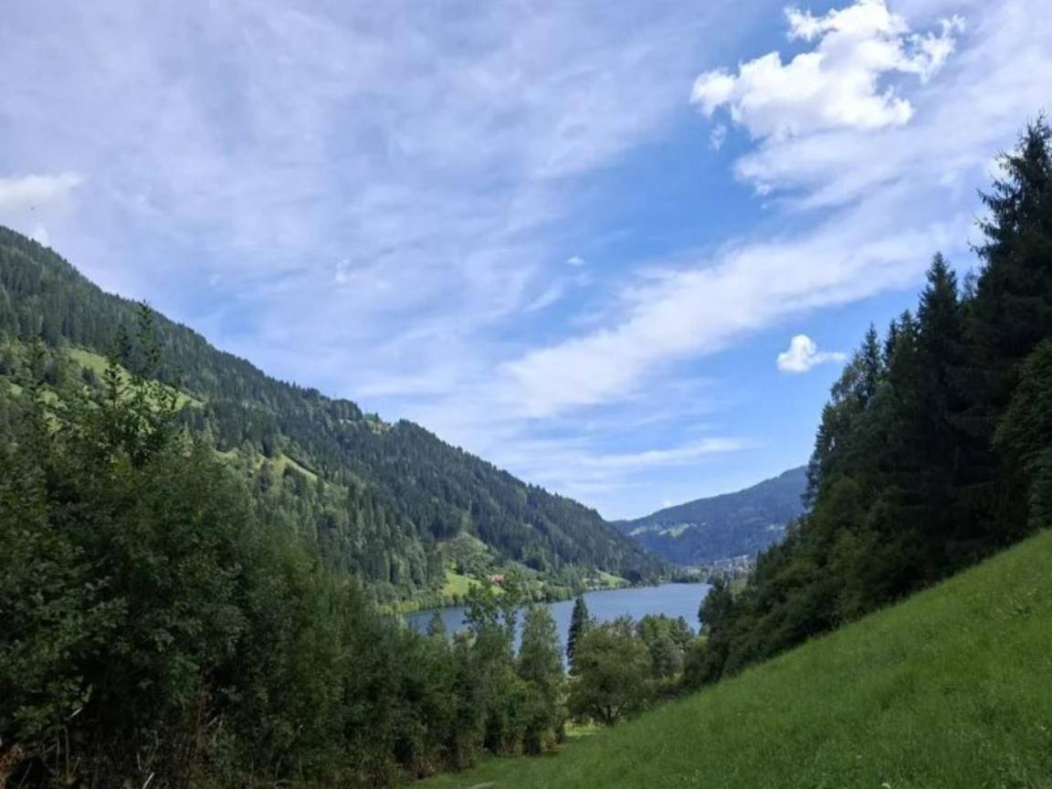 foto11
