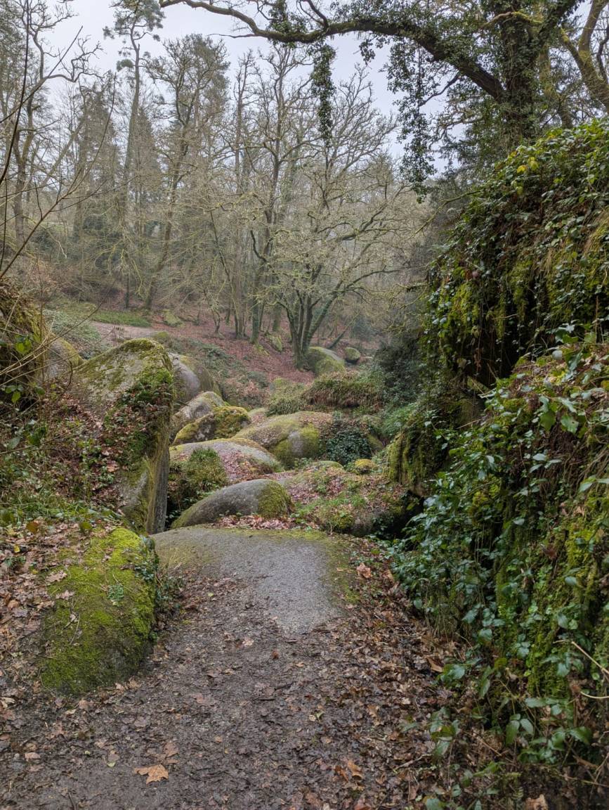 foto40