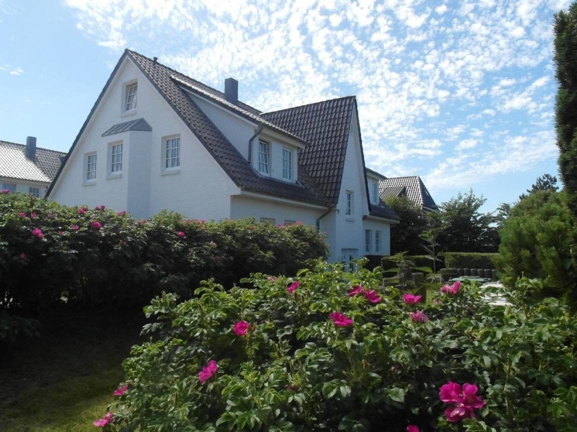 foto20