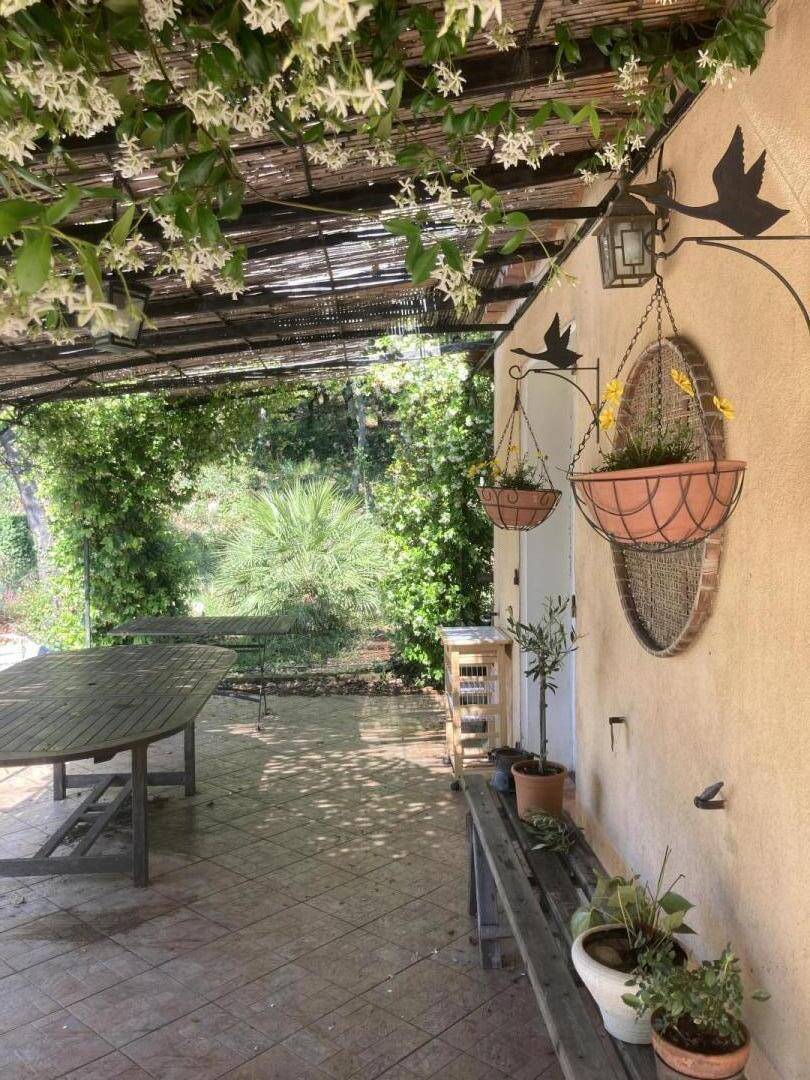 foto12