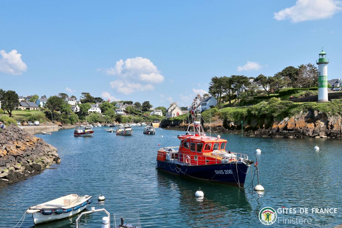 foto41
