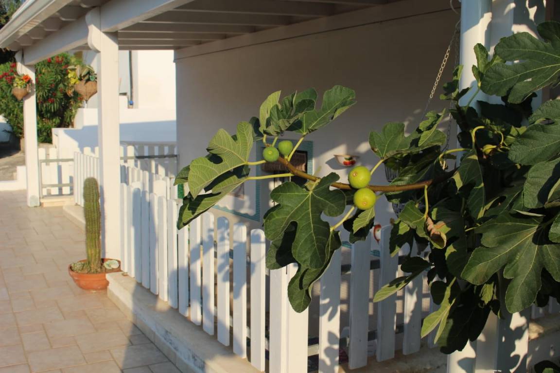 Villa Vacanza ∙ 2 Camere Da Letto ∙ 4 Ospiti - Taviano