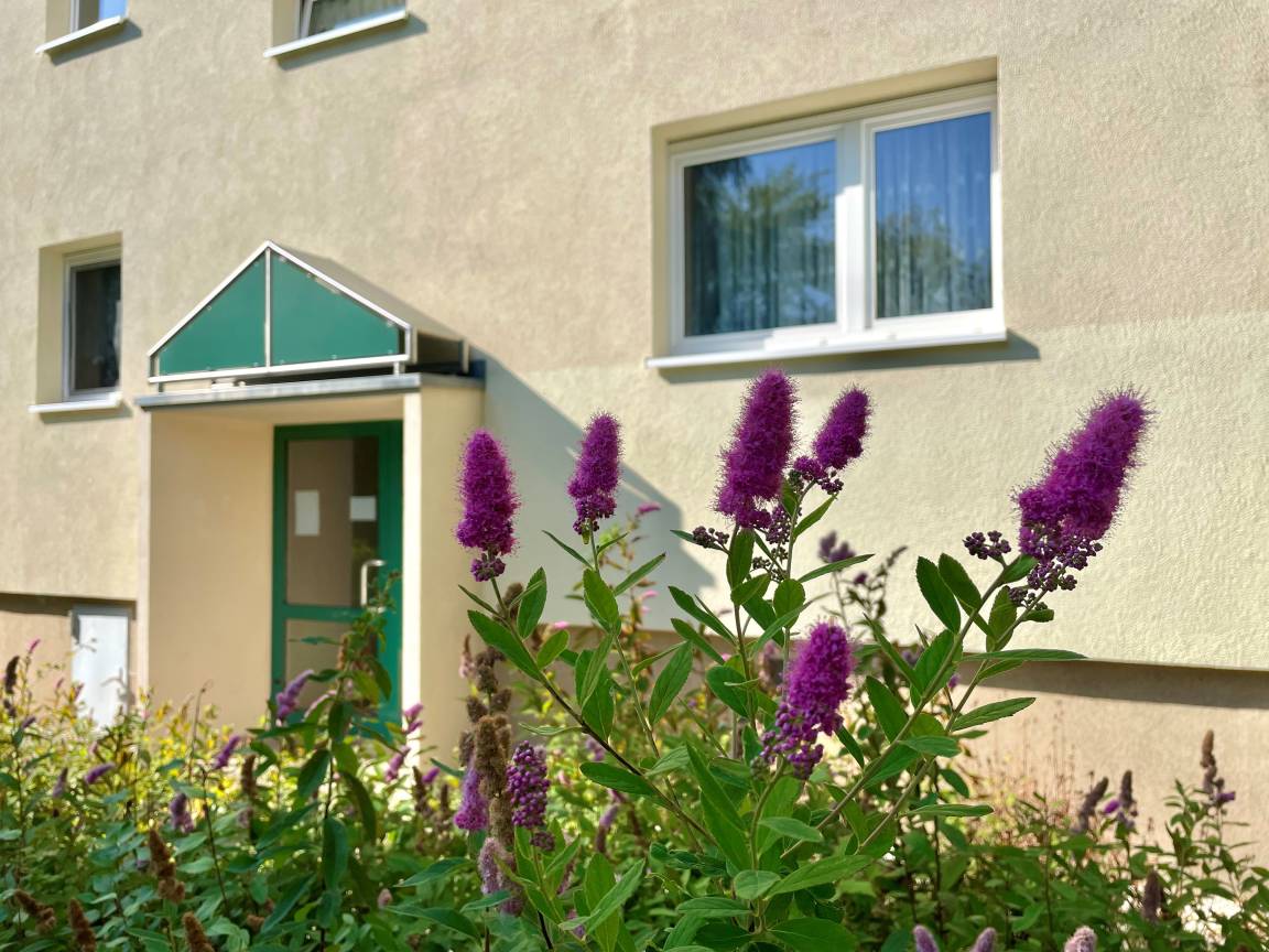 Ferienwohnung ∙ 3 Gäste - Altenburg