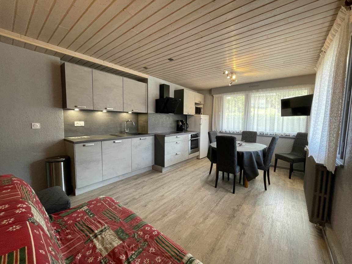 55 M² Appartement ∙ 2 Chambres ∙ 6 Personnes - Thônes