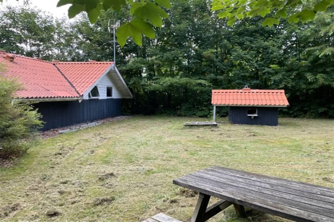 foto15