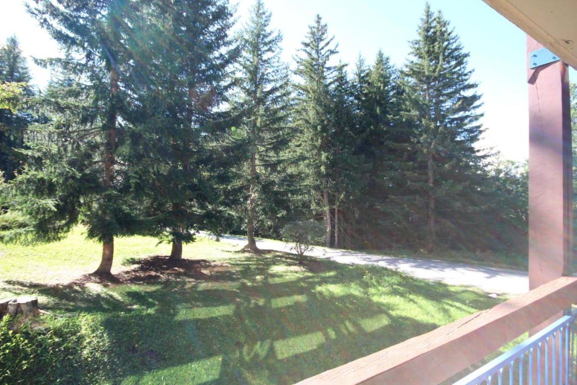 foto8
