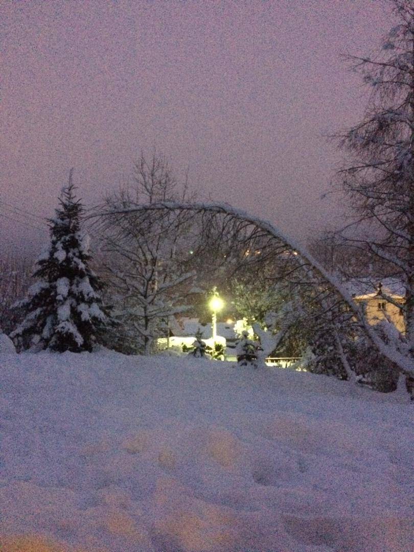 foto11