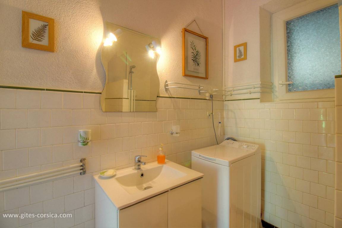 foto19