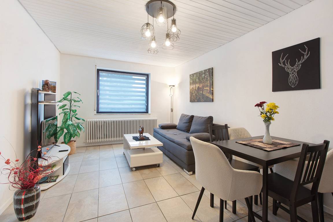 55 M² Appartement ∙ 1 Chambre ∙ 4 Personnes - Schluchsee