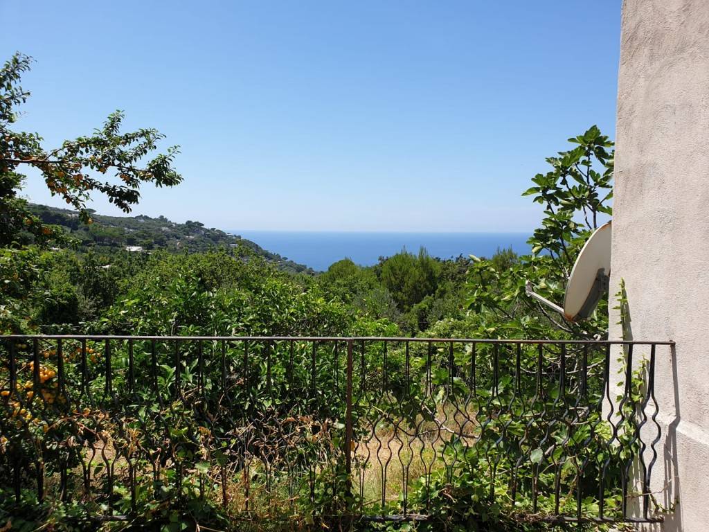 Capri - villetta in campagna