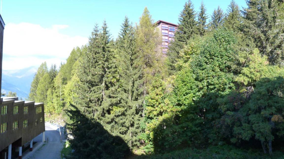 foto15