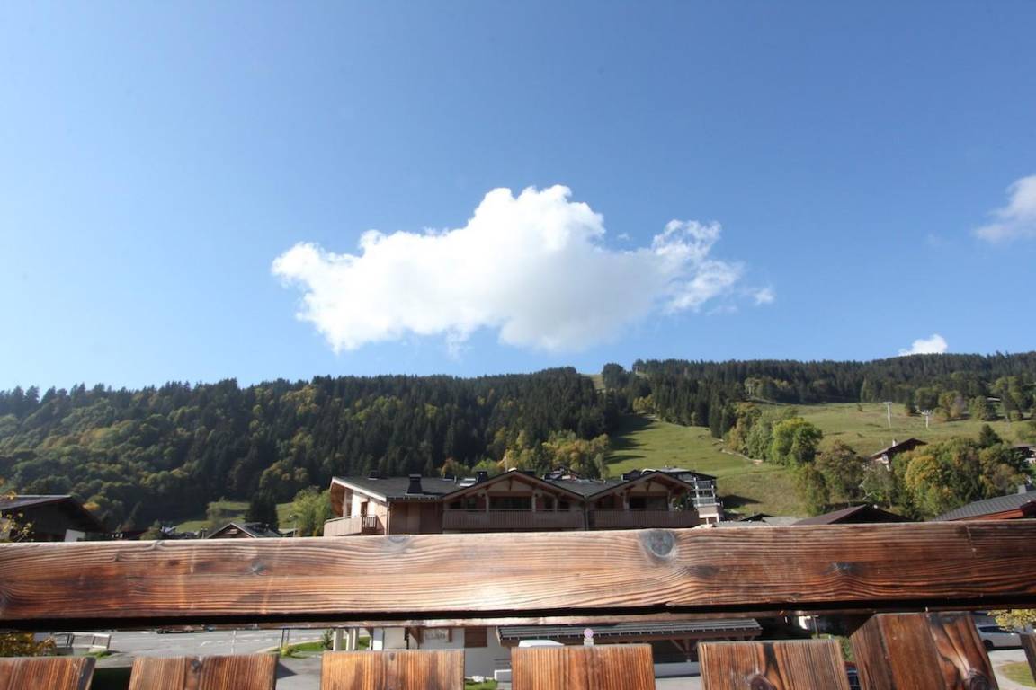foto11