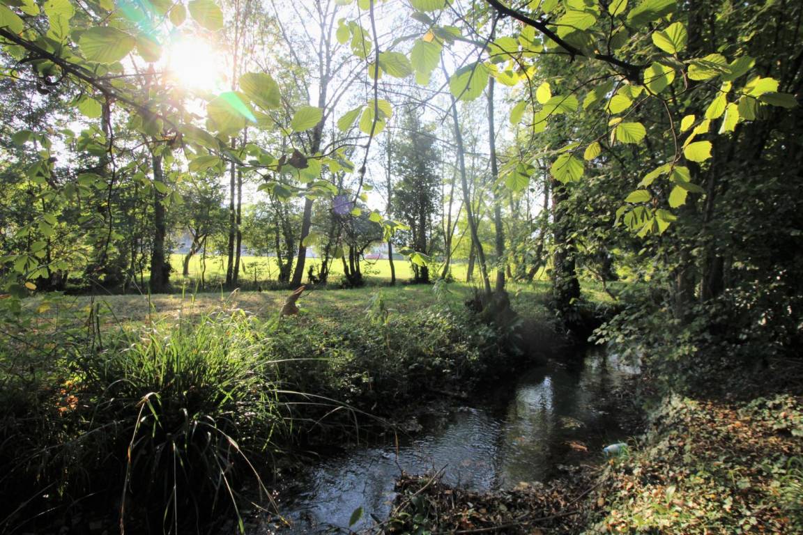 foto16