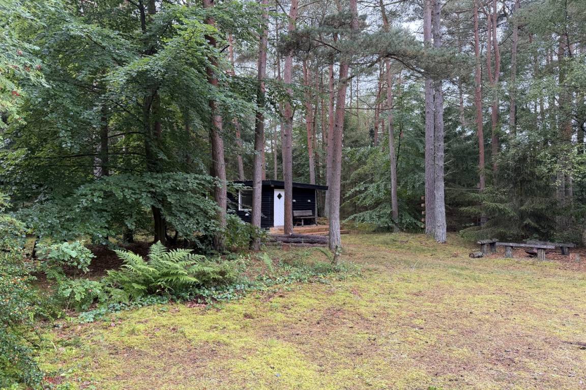 foto2
