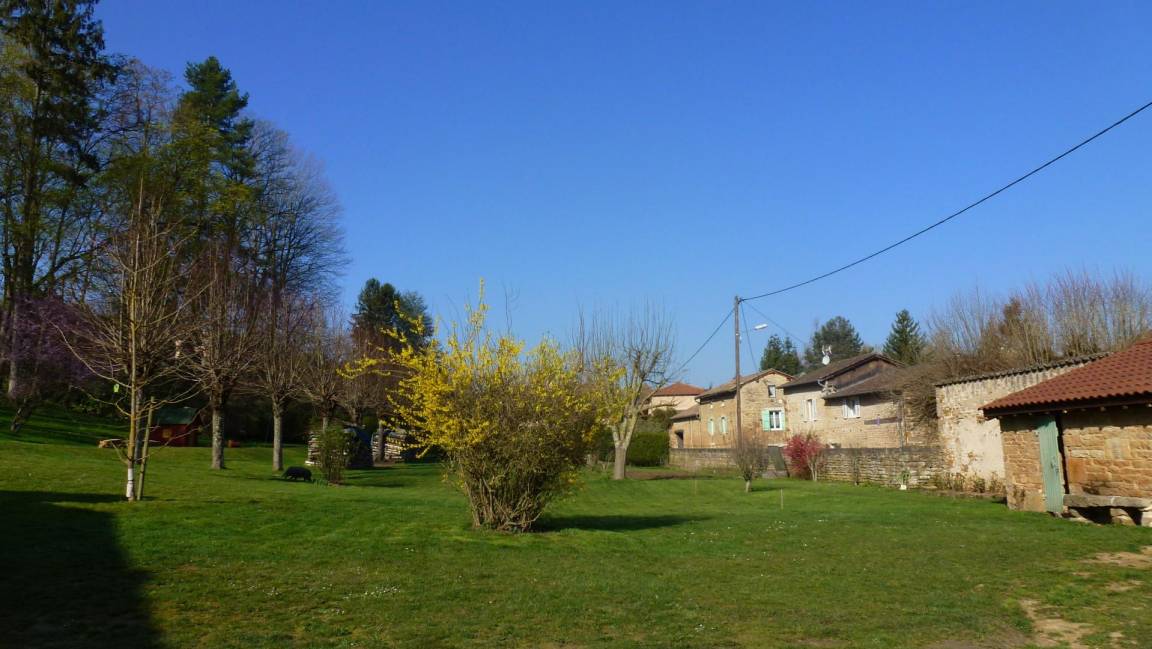 foto3
