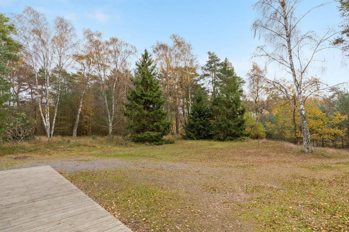 foto19