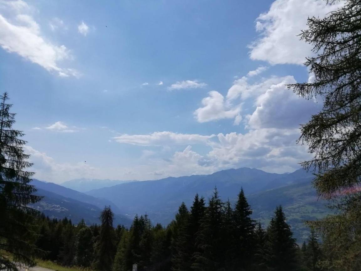 foto5