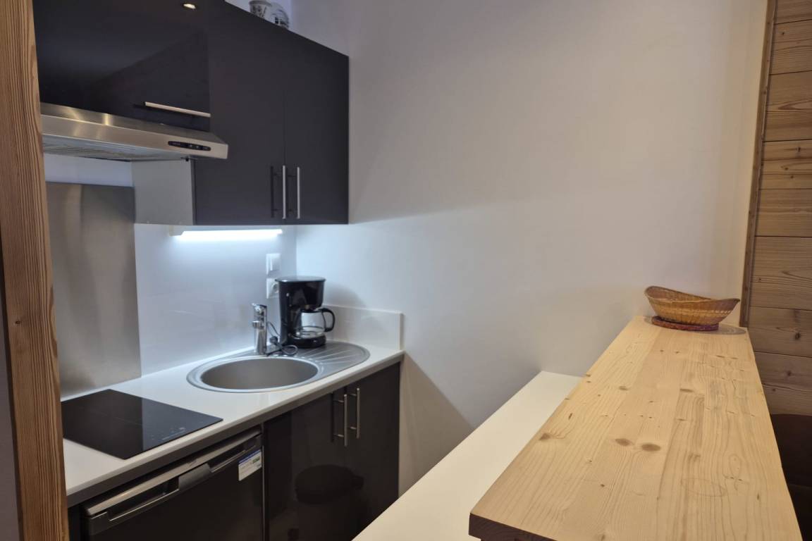 Apartment ∙ 1 Bedroom ∙ 4 Guests - Aix-les-Bains