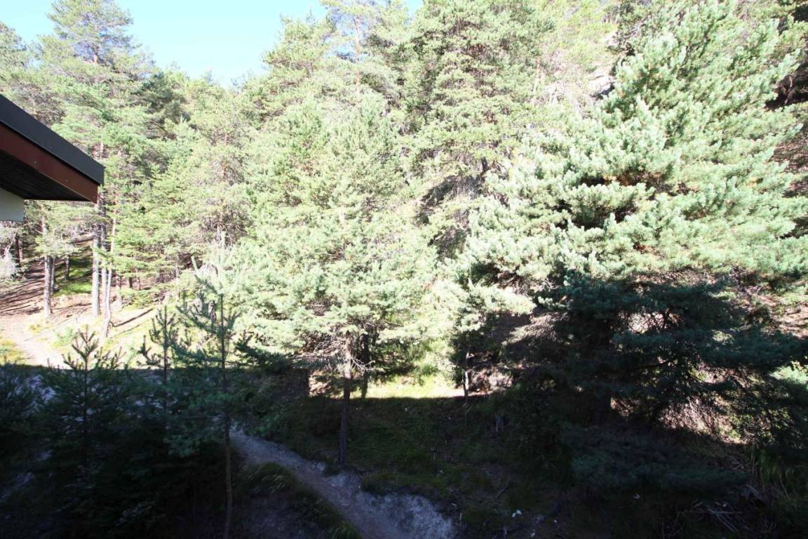 foto11
