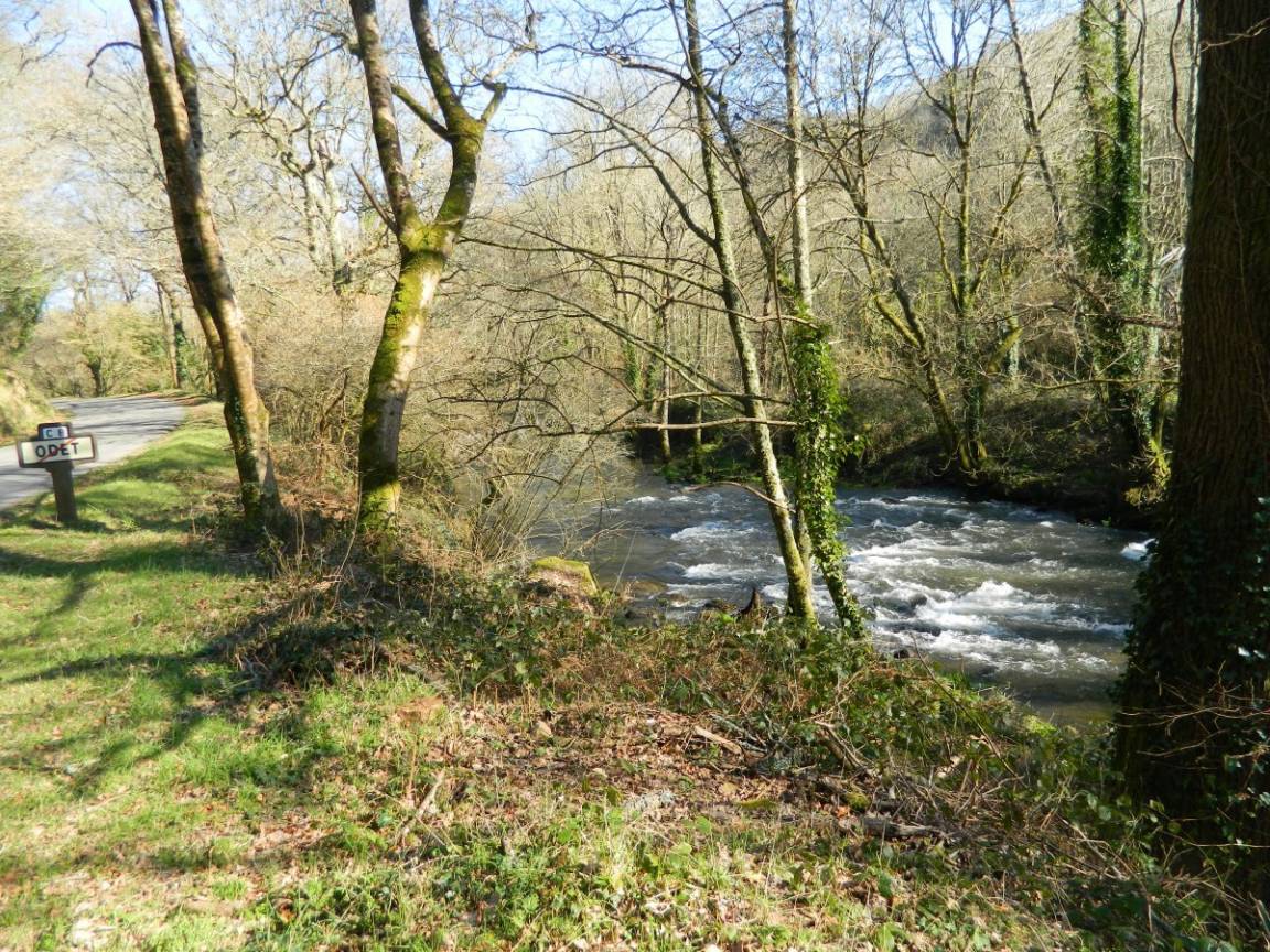 foto14