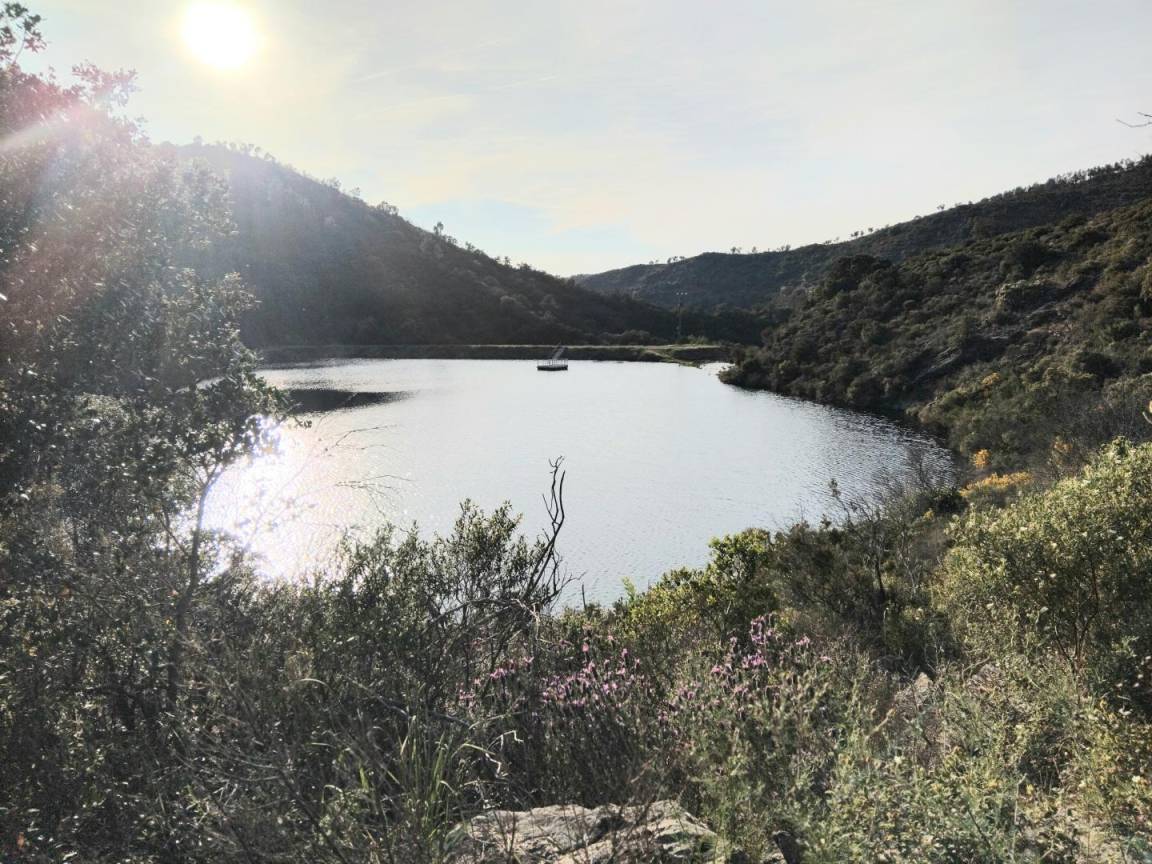 foto19