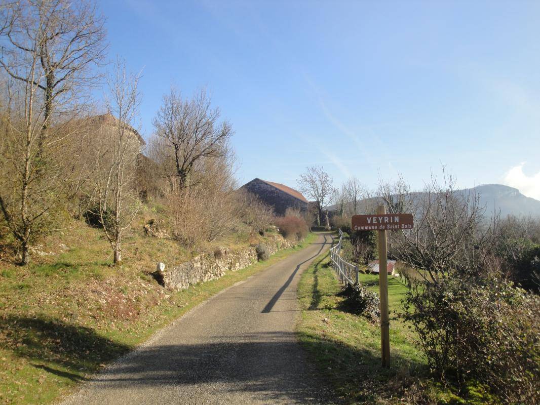 foto11