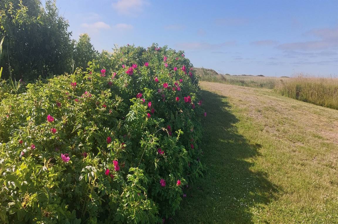 foto49