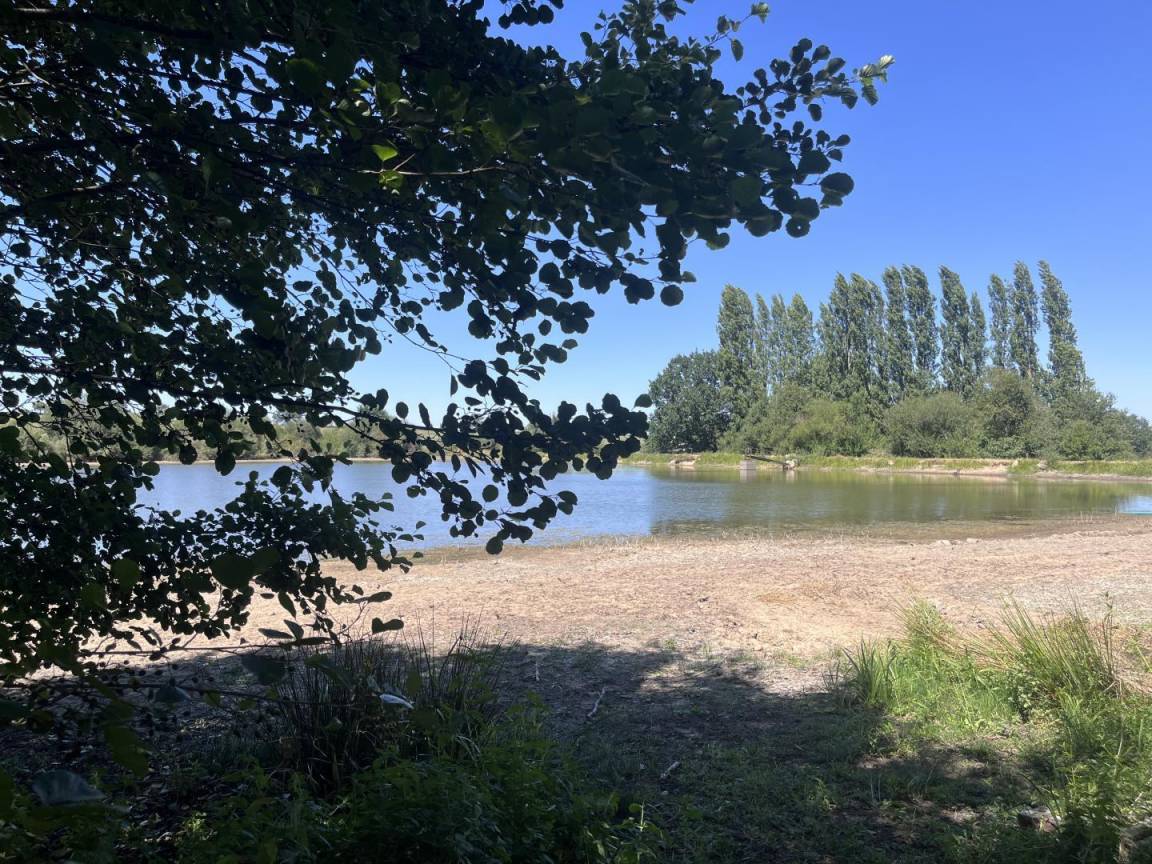 foto11