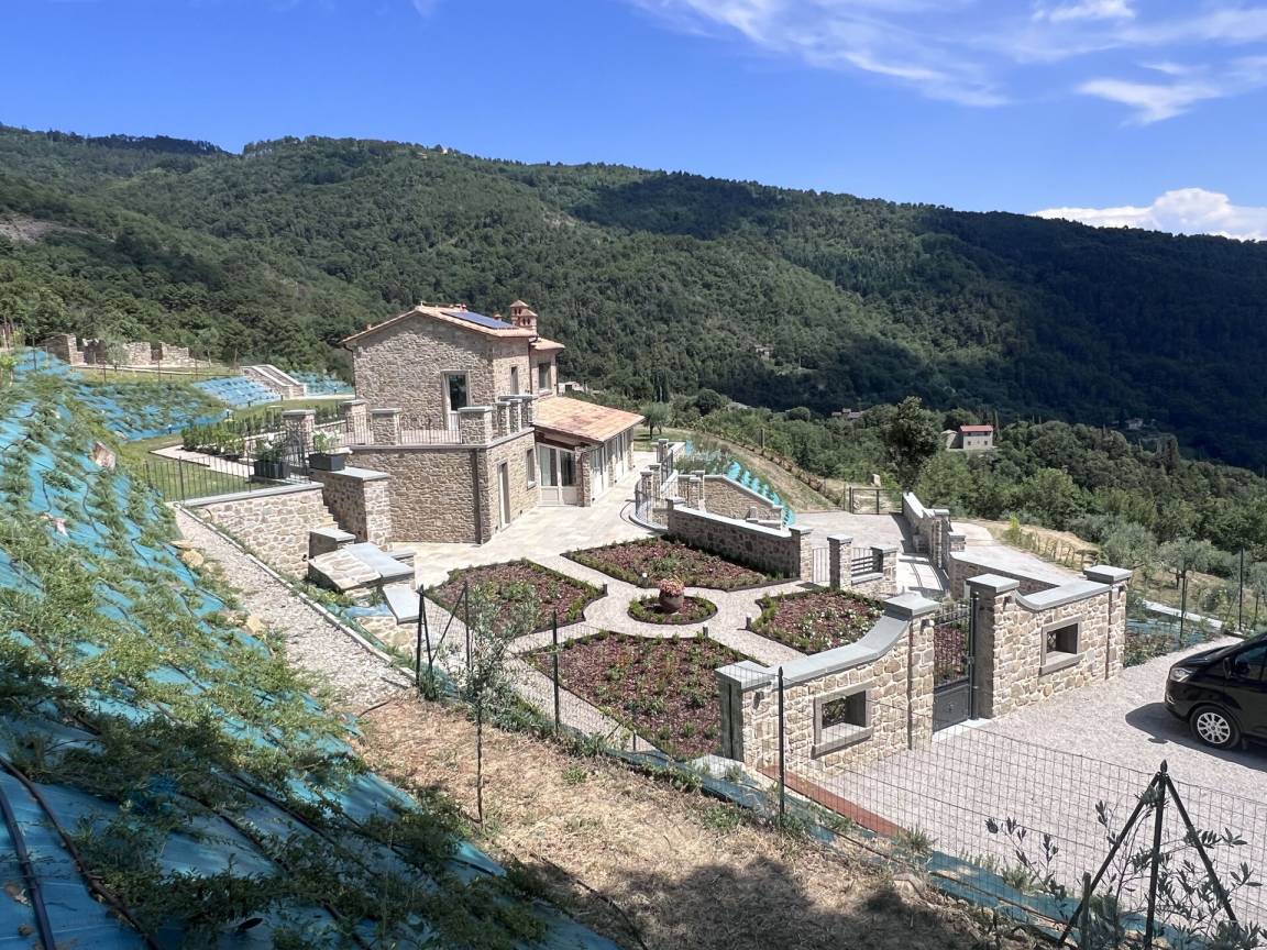 foto5