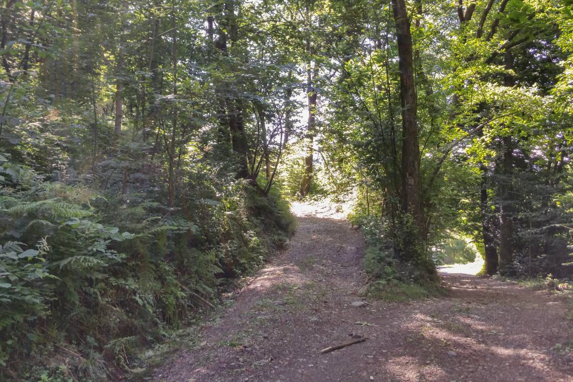 foto40