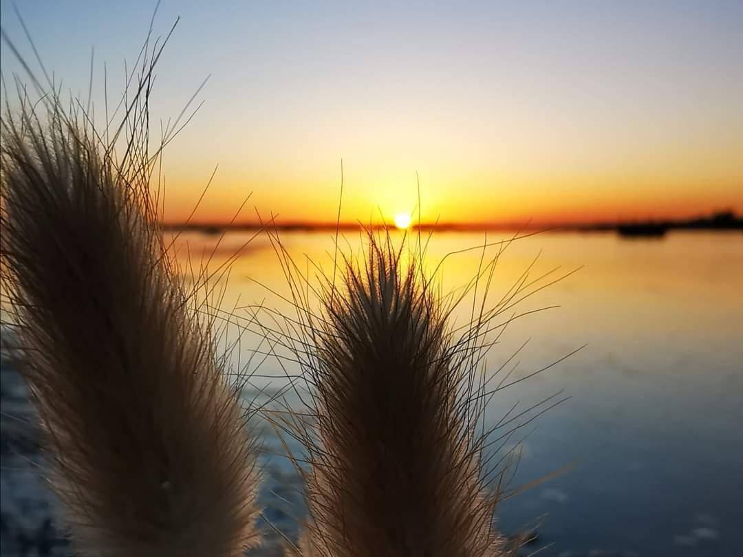 foto45