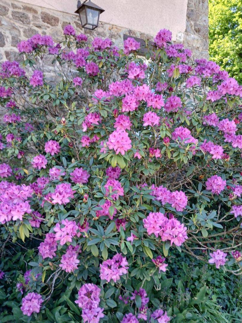 foto32