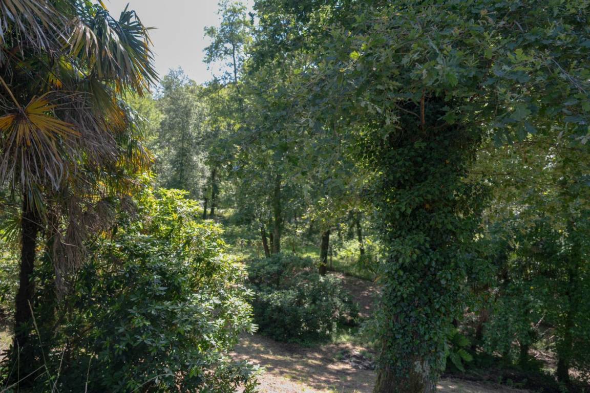 foto23