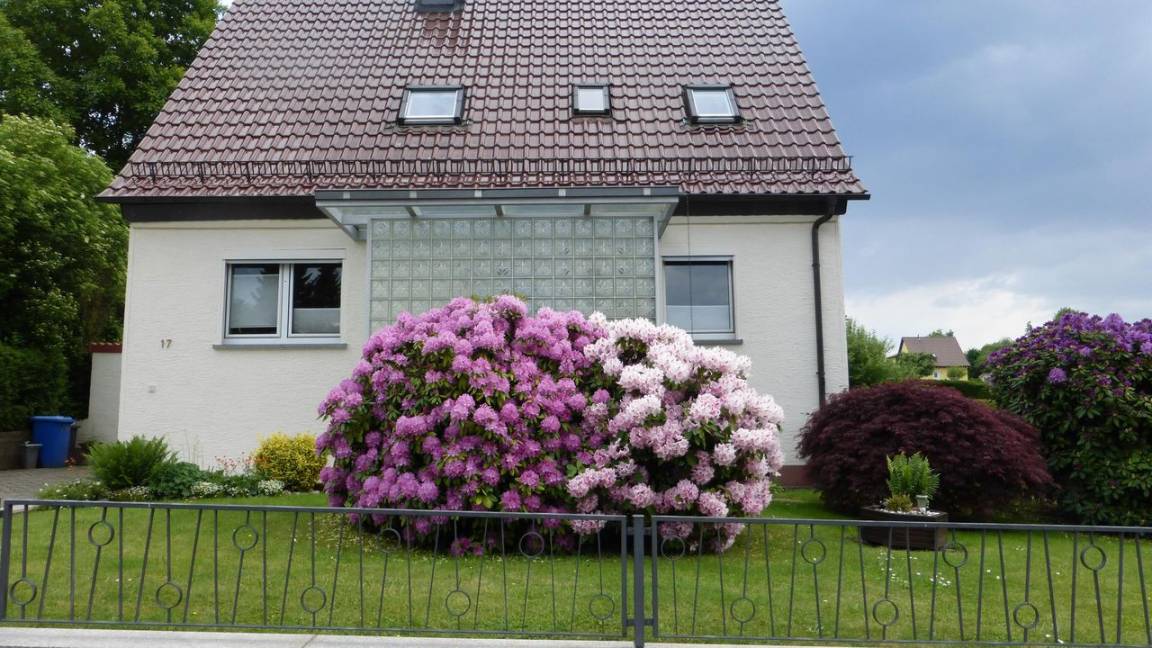 50 M² Ferienwohnung ∙ 1 Schlafzimmer ∙ 2 Gäste - Erbach