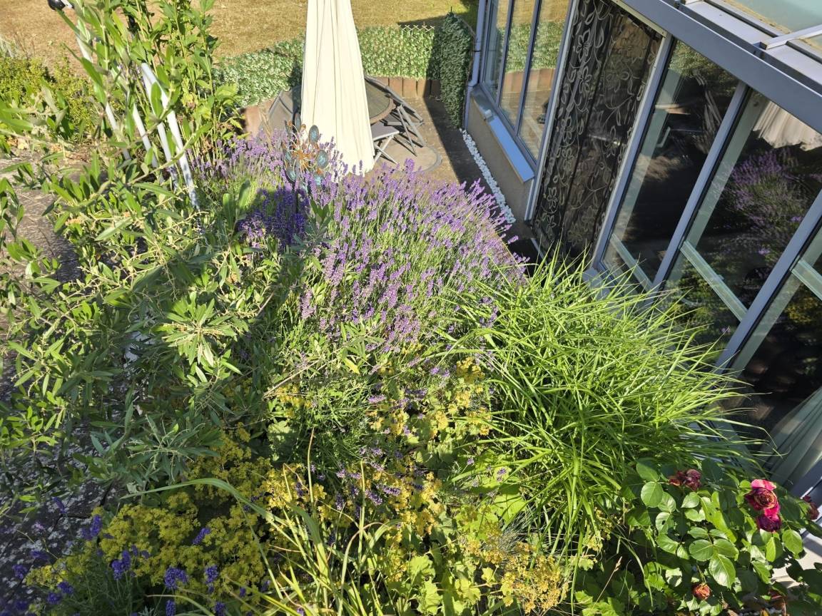 foto20