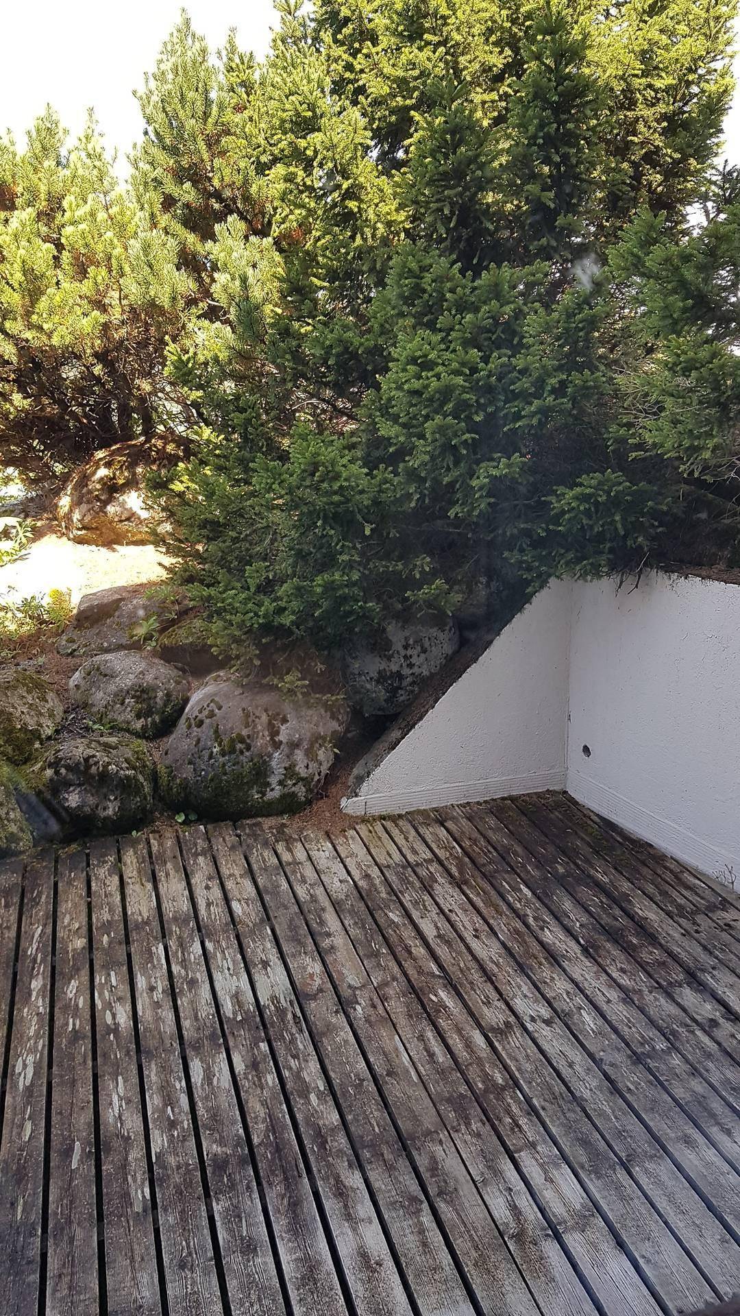 foto17