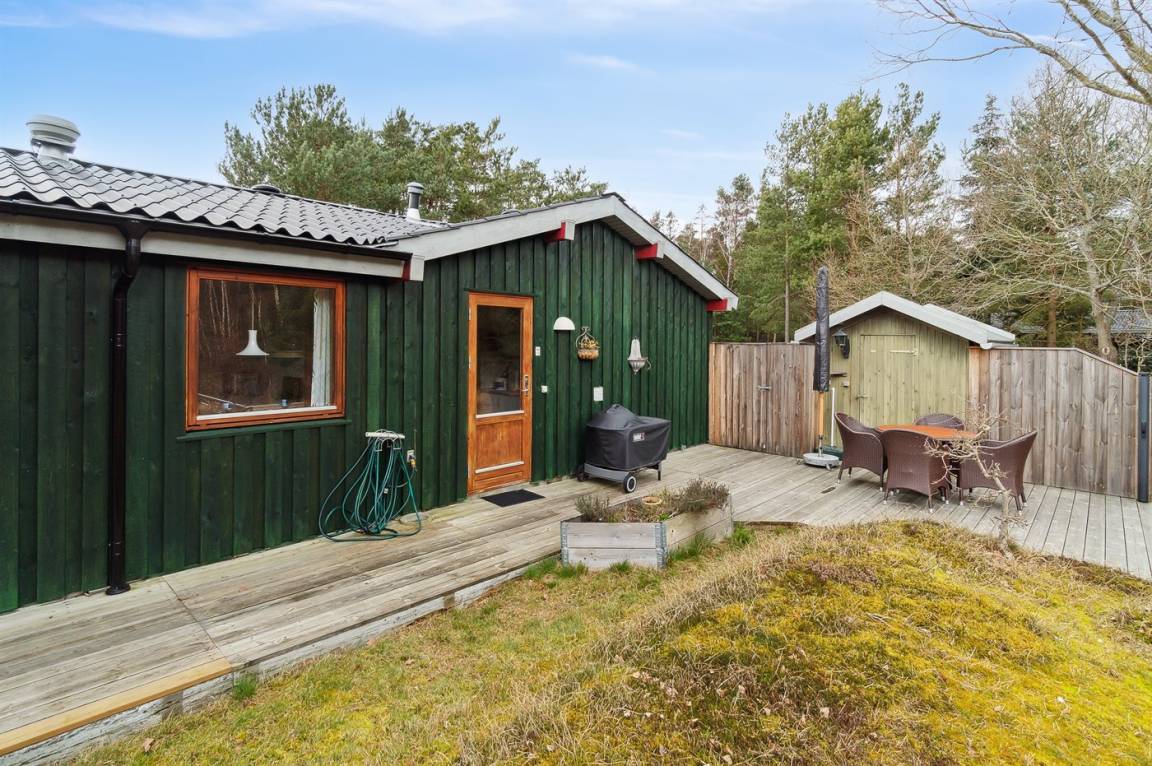 foto21