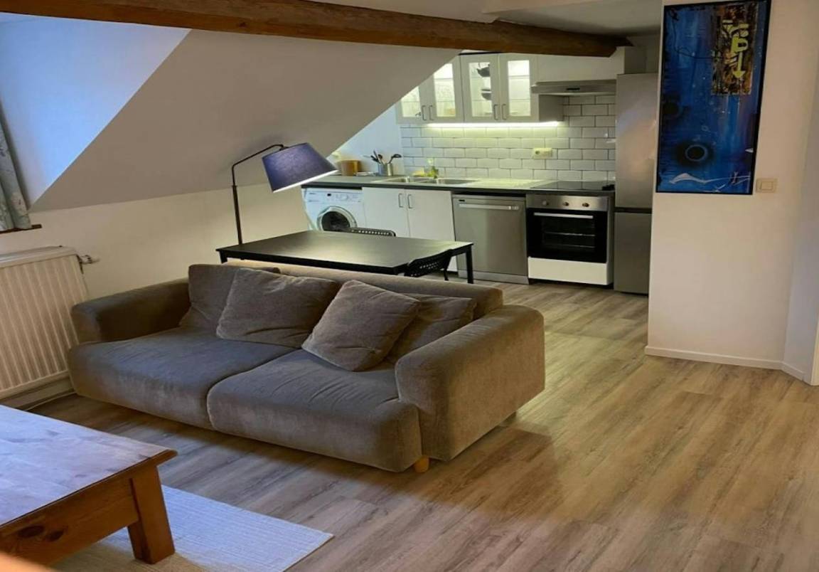 50 M² Apartment ∙ 2 Guests - Brussels