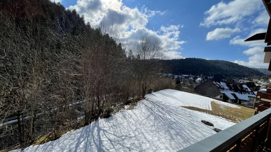 Appartement ∙ 2 Personnes - Todtmoos
