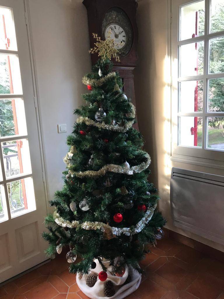 foto17