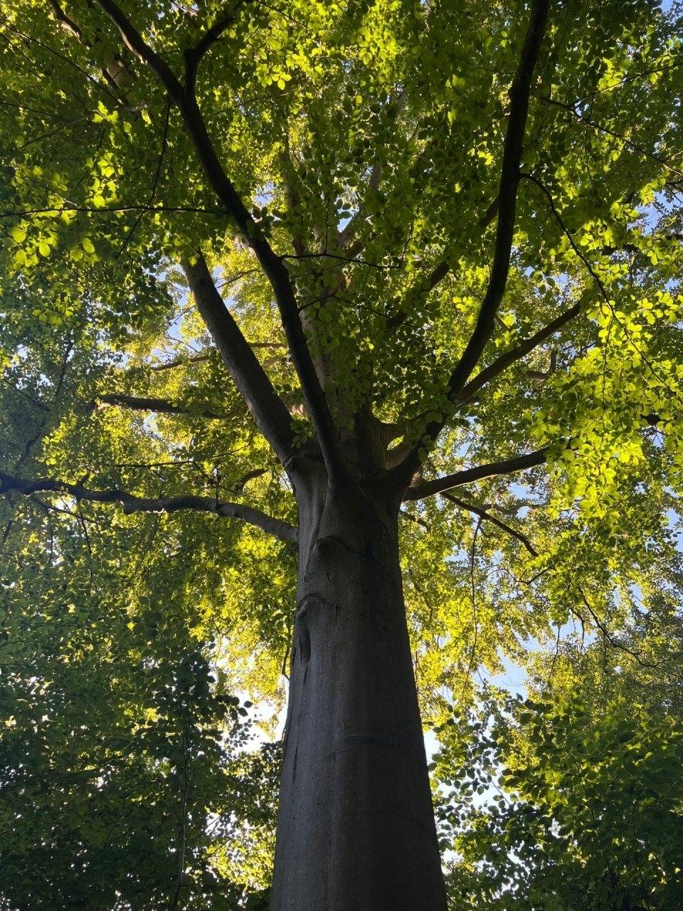 foto24